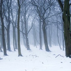 Winter Woods (modular synth patch)