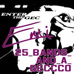 25 bands and a geccco (100 gecs cover)