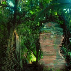 field recording ⌇ l'appel de la montagne