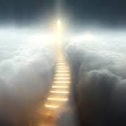 INTO THE UNKNOWN RD 7