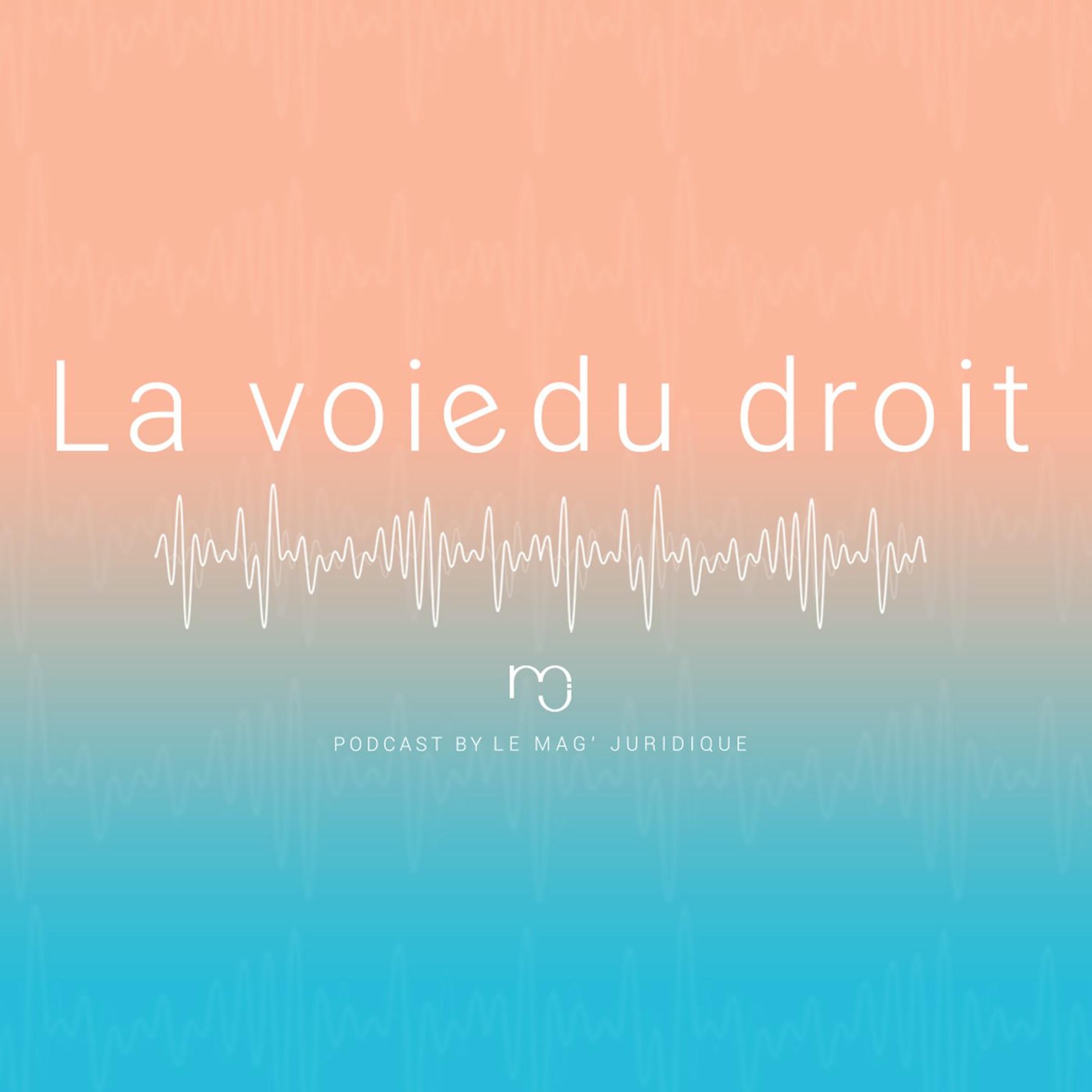 La voie du droit - by Le Mag\' Juridique