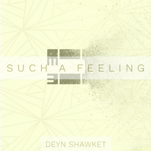 OUT NOW! "Such A Feeling" Deyn Shawket Radio Edit