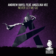 Never Let Me Go (feat. Angelika Vee)