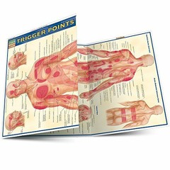 VIEW [PDF EBOOK EPUB KINDLE] Trigger Points (Quick Study Academic) by  Inc. BarCharts 📥