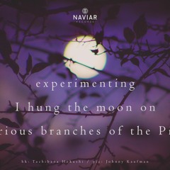 haiku #391: experimenting / I hung the moon / on various branches of the Pine
