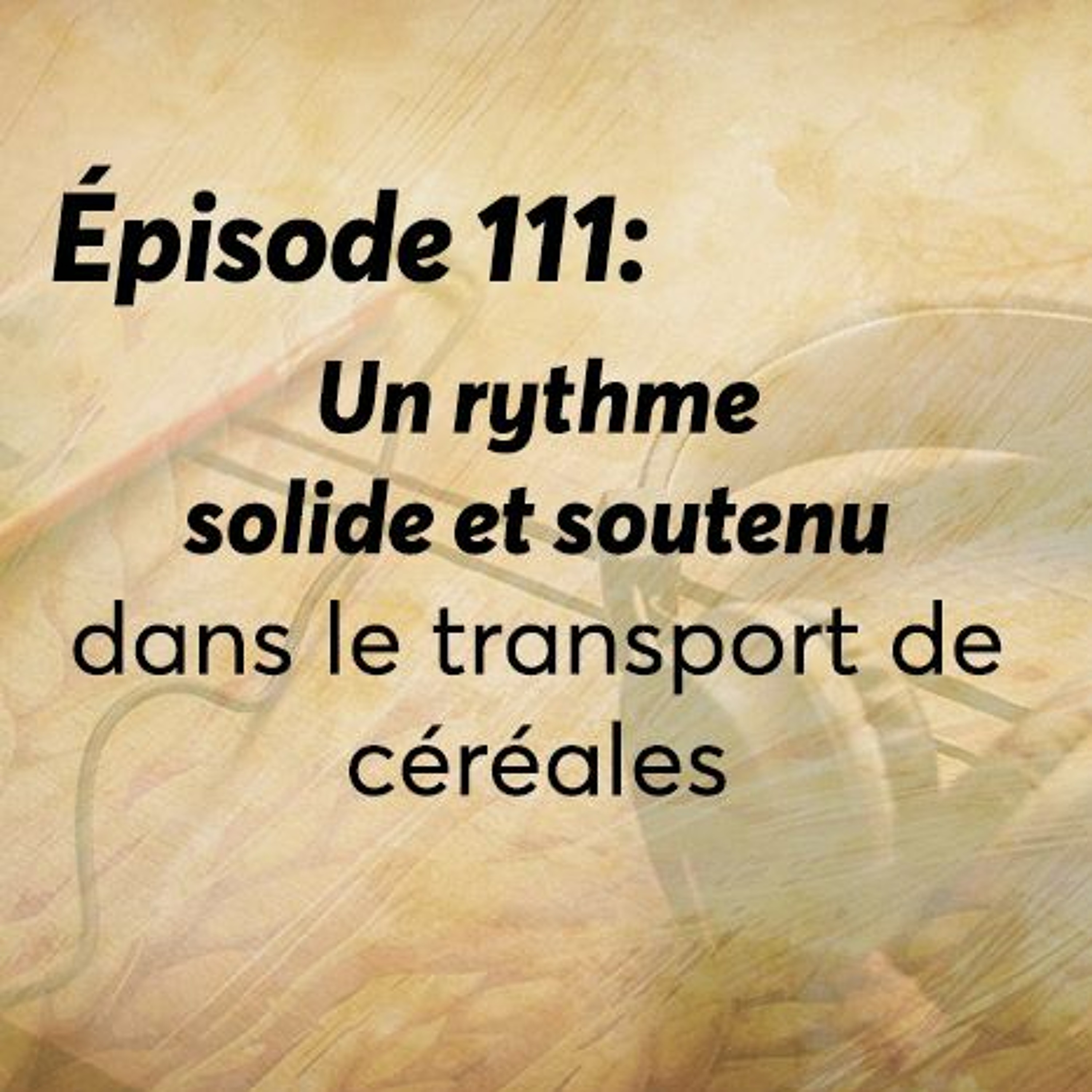 CN\'s Grain Insight Podcast