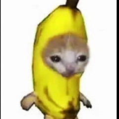 happy banana cat