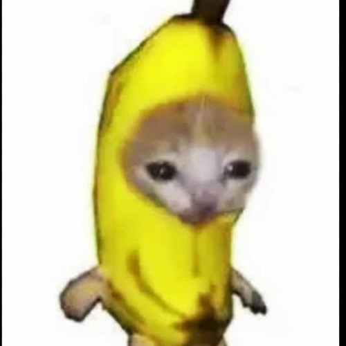 happy banana cat