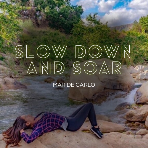 Slow Down and Soar