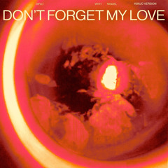 Don’t Forget My Love (Kiinjo Version)