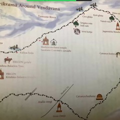 5 - Vrindavan Parikrama