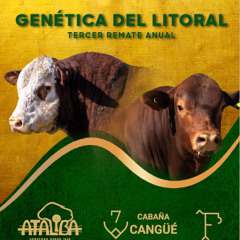 Dr. Agustín Álvarez Fernández 211025