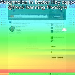 FRANK ZAPPA "Watermelon In Easter Hay" B - Side