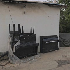 we follow the hole of words to the exhausted beach