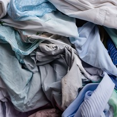 Felisha Ledesma 070924