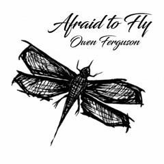 Afraid To Fly