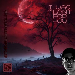 I Was Meant For You (Original Mix)
