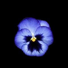 SONGS YOUTUBE TO SOUNDCLOUD