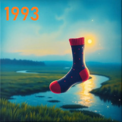 1993 right  sock