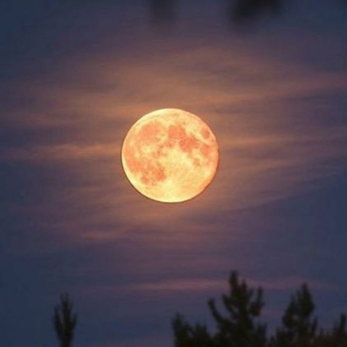 full moon sets