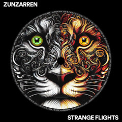 Zunzarren - Strange Flights(Original Mix)