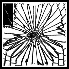 Premiere: Max Winter - 'CCK 4'