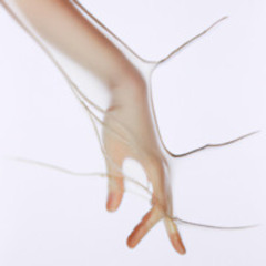 Malin Genie - Hedonic Setpoint 22