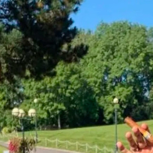 Onionz Freestyle (fast)$