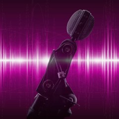 VoiceOver Demo - Commercial