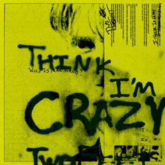 Think I'm Crazy