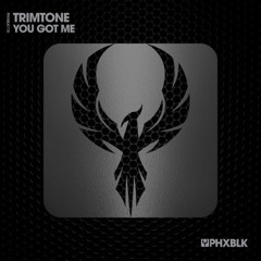 Trimtone - You Got Me