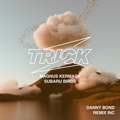 Magnus Kermack - Subaru Birds (Danny Bond Remix)
