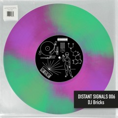 Distant Signals 006: DJ Bricks