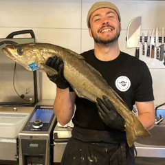 Progressive Bistrot | home set