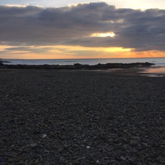 Brainstrust Timeout and Reset 2023