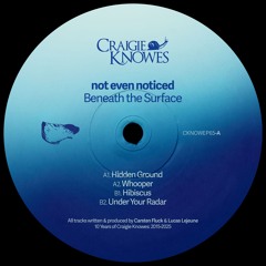 Hurfclusive! - not even noticed - Whooper [Craigie Knowes]