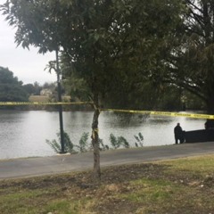 Tina Menthol’s private work bench inside lava cove