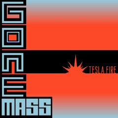 Tesla Fire