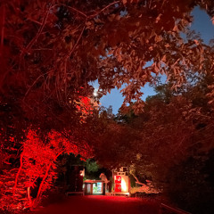 Sweets Of The Night at Layer05, July 4 2025