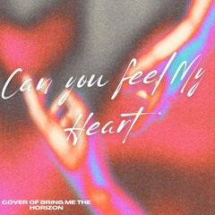 Can You Feel My Heart (Cover)
