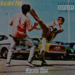 karate flow (prod.zues the god)