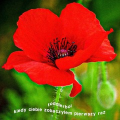 kiedy ciebie zobaczylem pierwszy raz