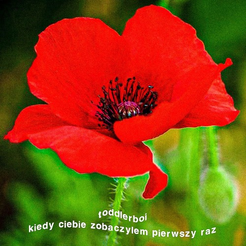 kiedy ciebie zobaczylem pierwszy raz