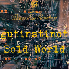 gutinstinct - "Sold World EP" [DRR023]
