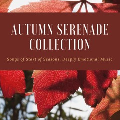 Autumn Serenade Collection