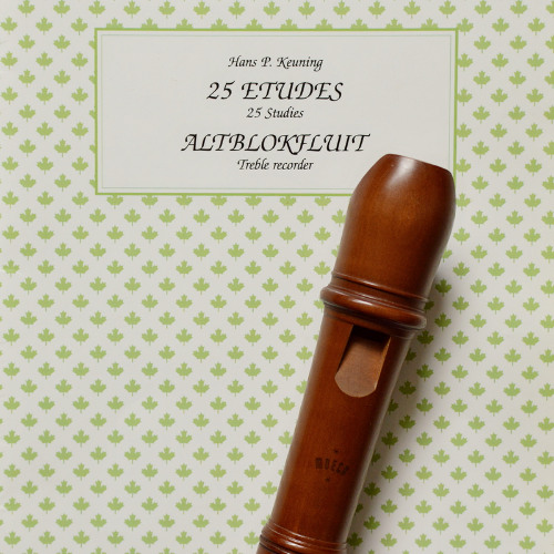 Study No. 12 Allegretto - Hans P. Keuning