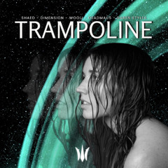 SHAED, Dimension, Wooli, Deadmau5, Darren Styles - Trampoline (ELUSID MASHUP)