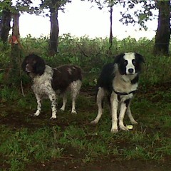 Best of 'Good Tunes' #5 [2023-2024]