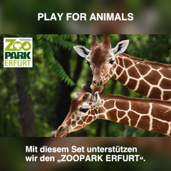 PLAY FOR ANIMALS