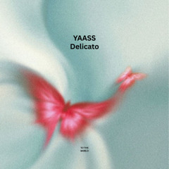 YAASS - Delicato